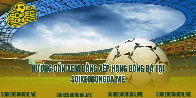 Hướng dẫn xem bảng xếp hạng bóng đá tại pure-pro.com.tw