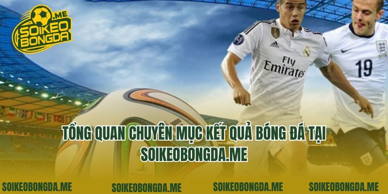 Tổng quan chuyên mục kết quả bóng đá tại pure-pro.com.tw