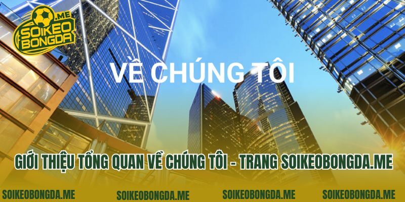 Giới thiệu tổng quan về chúng tôi - trang pure-pro.com.tw